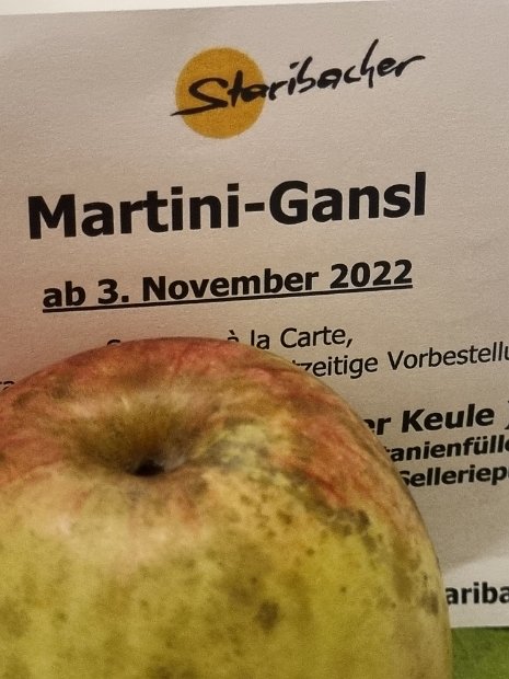 20221027_182612