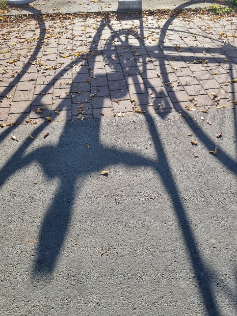 20221028_150315