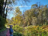 20221027_122359.jpg