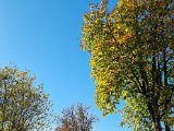 20221027_142853.jpg