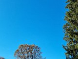 20221027_143813(0).jpg
