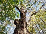 20221027_144906.jpg