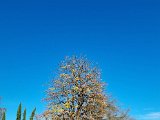 20221027_151104.jpg