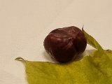 20221027_182553.jpg