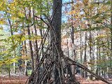 20221028_120459.jpg