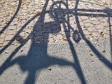20221028_150315.jpg