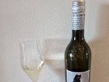 20221028_165256(0).jpg
