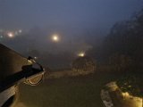 20221029_065515.jpg