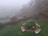20221029_072552.jpg