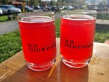 20221029_160521.jpg