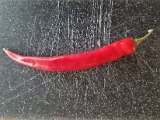 20220123_130300.jpg