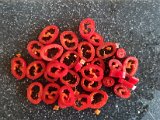 20220123_130812.jpg
