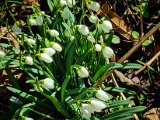 20220210_095456.jpg