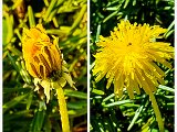 20220412_211314.jpg