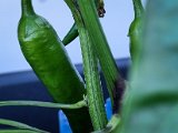 20220531_190417.jpg