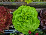 20220610_132613(0).jpg