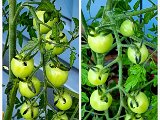 20220617_095437.jpg