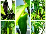 20220617_110948.jpg