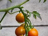 20220705_131552.jpg