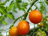 20220705_131624(0).jpg