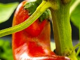 20220714_084734.jpg