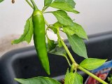 20220801_095442.jpg