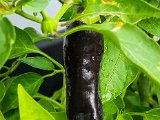 20220801_095639.jpg