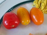 20220814_100255.jpg