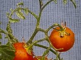 20220823_084403.jpg