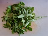 20220910_183219.jpg