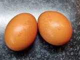 20220927_005426.jpg