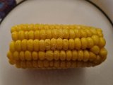 20221004_222634.jpg