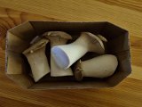 20221014_182157.jpg