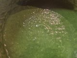 20221021_210830.jpg