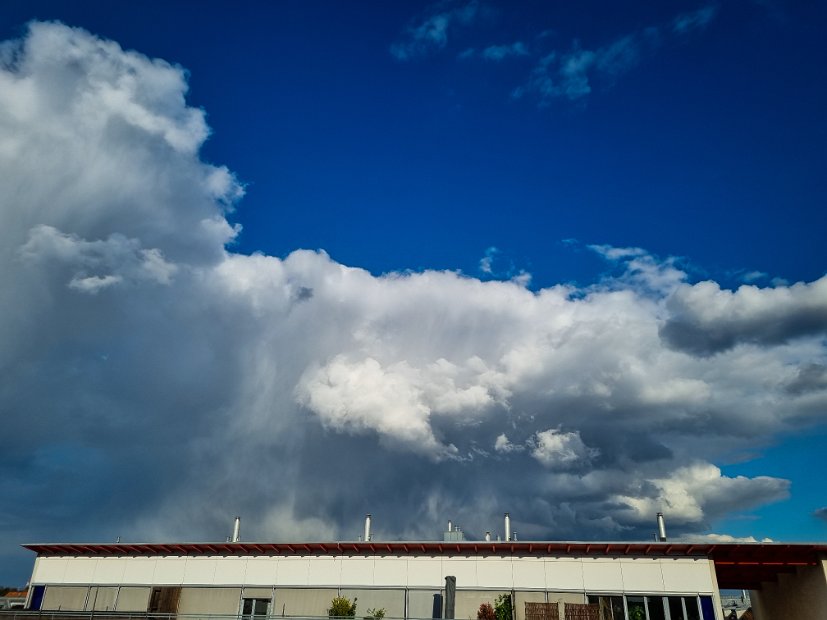20220410_174619(0)