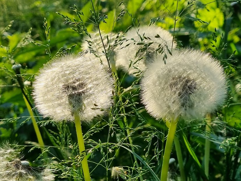 20220512_185305
