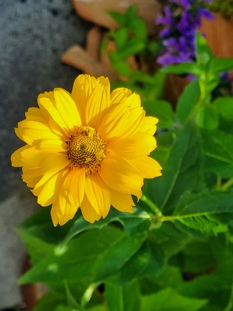 20220617_102239