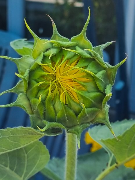 20220630_170330
