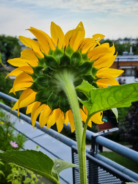 20220707_082358