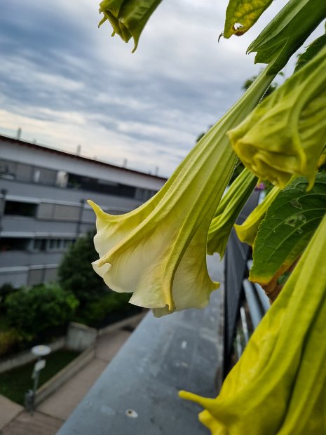 20220807_075652(0)