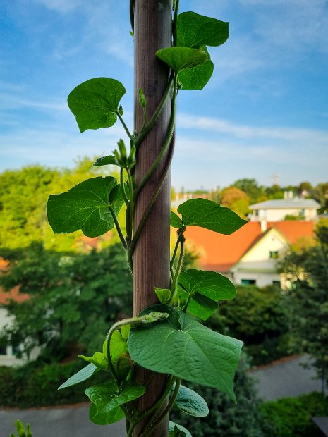 20220818_073712