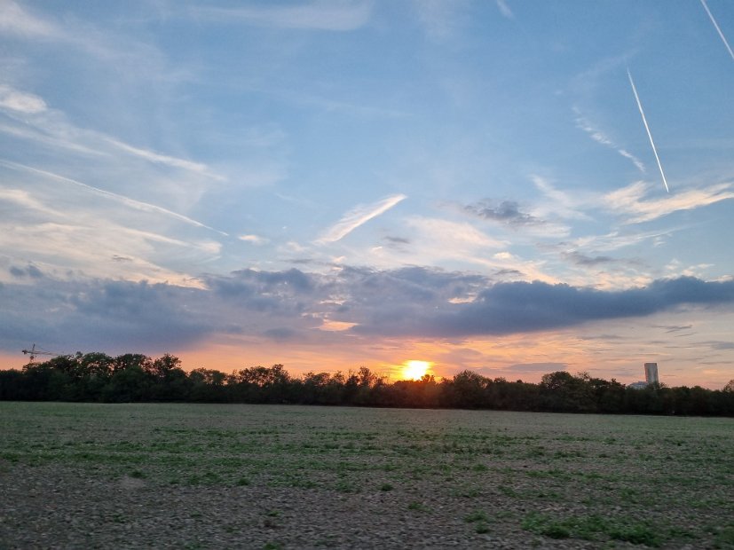 20220906_190418(0)