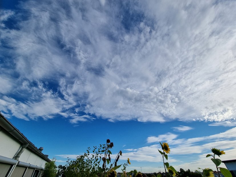 20220909_080421