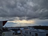 20220106_143129.jpg