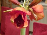 20220109_233830.jpg