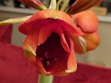 20220109_233912.jpg