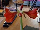 20220110_080040.jpg
