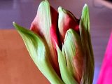 20220110_084920.jpg