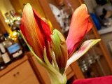 20220110_085015.jpg