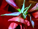 20220110_085106.jpg